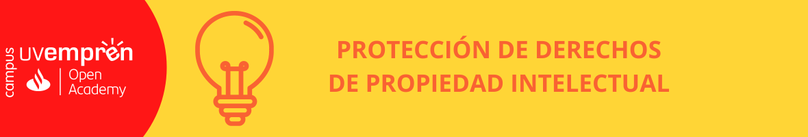 PROTECCIÓN DE DERECHOS DE PROPIEDAD INTELECTUAL